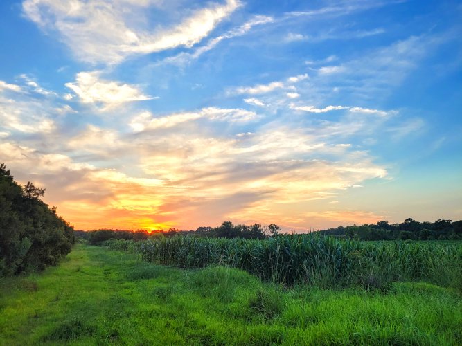 Sunset.jpg Sunset.jpg