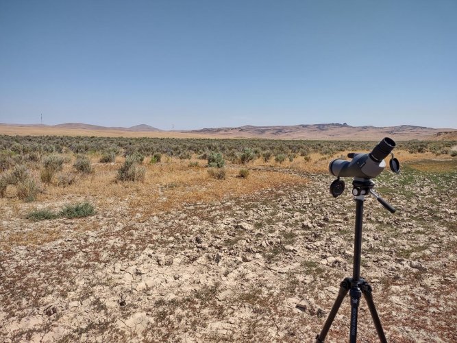 scoping_things_out.JPG scoping_things_out.JPG