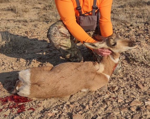 monster_buck.JPG monster_buck.JPG