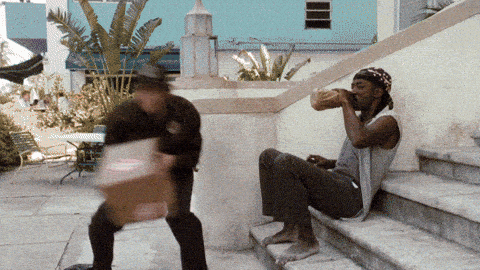 aceventura.gif aceventura.gif