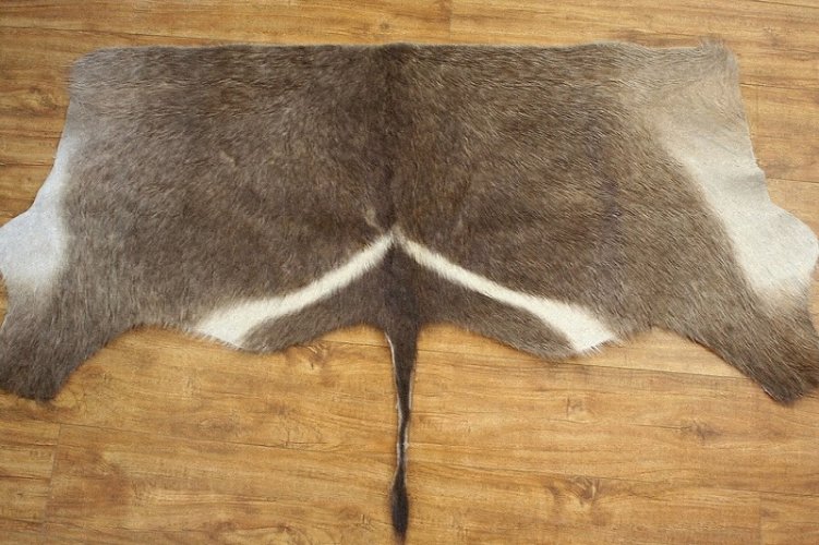 Waterbuck-backskin.jpg Waterbuck-backskin.jpg