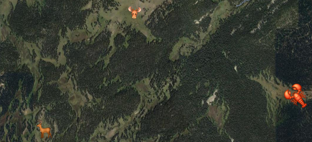 Mountain Meadows~2.png Mountain Meadows~2.png