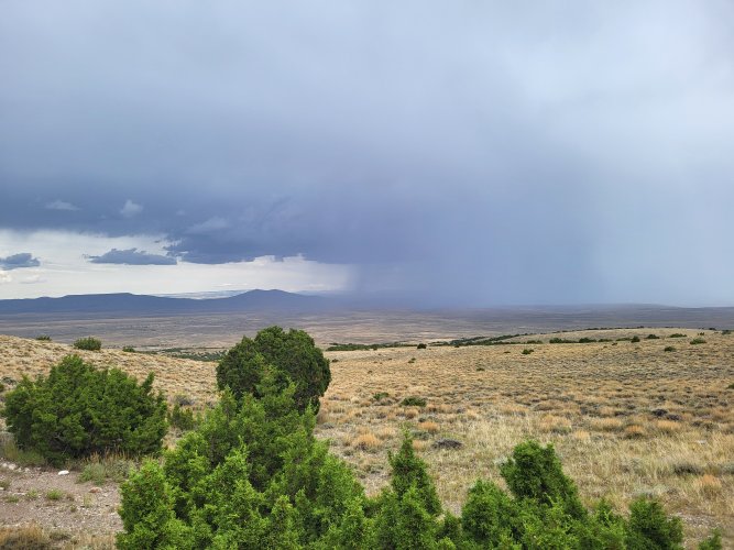 20240813_151450.jpg 20240813_151450.jpg