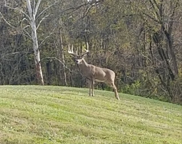 20191111_135223.jpg