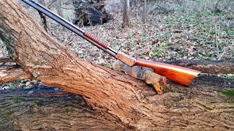 2016 Squirrel and 1890 B.jpg 2016 Squirrel and 1890 B.jpg