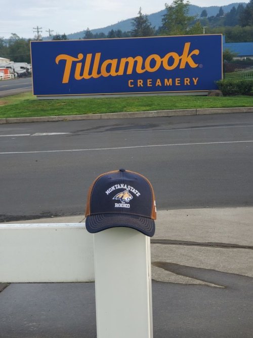 MSU Rodeo at Tillamook.jpg MSU Rodeo at Tillamook.jpg