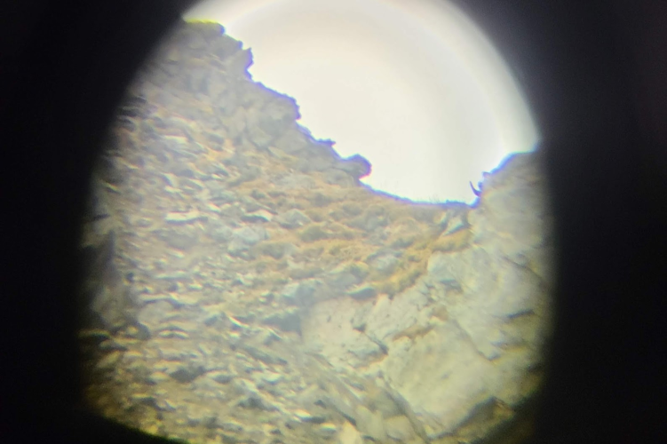 1724358768336.png 1724358768336.png