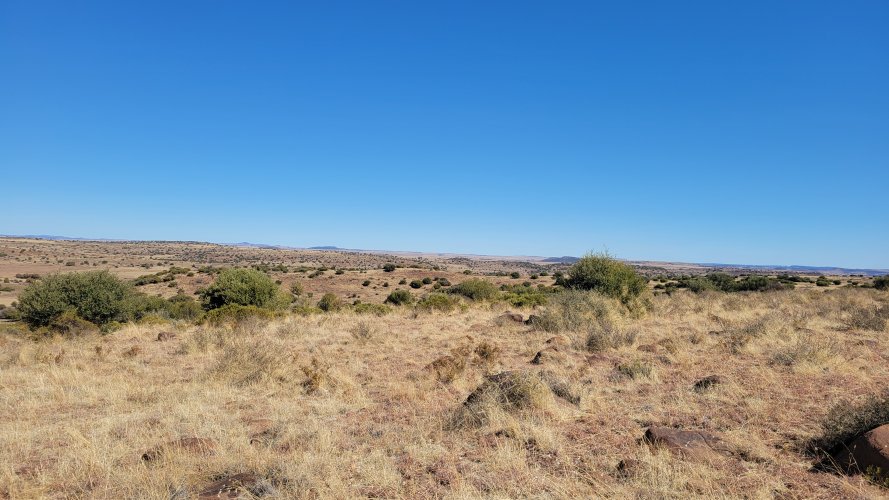 20240814_132655.jpg 20240814_132655.jpg
