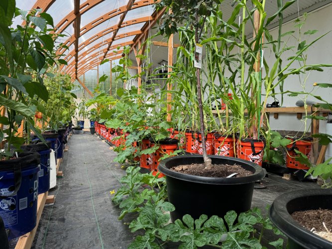 Greenhouse.jpg Greenhouse.jpg