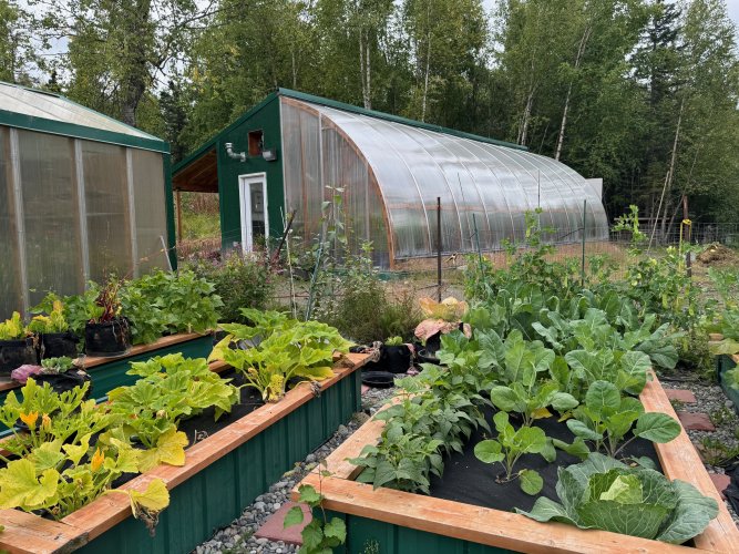 Alaska GreenHouse.jpg Alaska GreenHouse.jpg