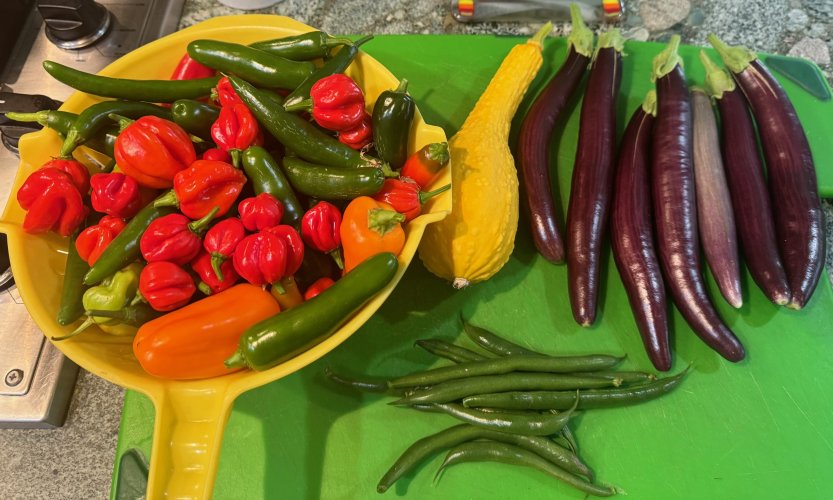 Veggie pick.jpg Veggie pick.jpg