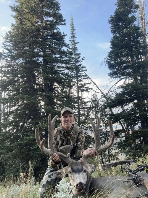 24Muley.jpg 24Muley.jpg