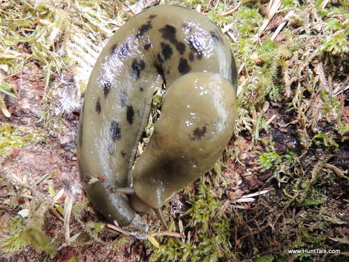 DSCN1216.JPG DSCN1216.JPG