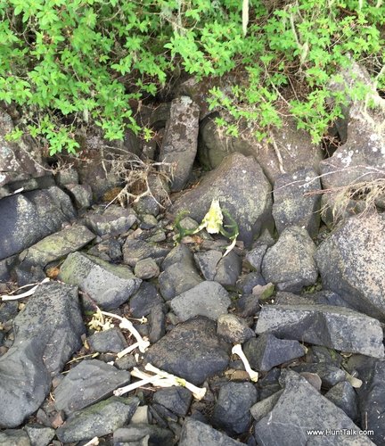 IMG_0222.JPG IMG_0222.JPG