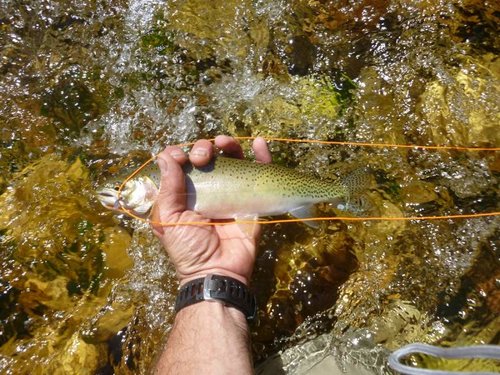 fishing 004.jpg fishing 004.jpg