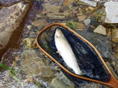 fishing 014.jpg fishing 014.jpg