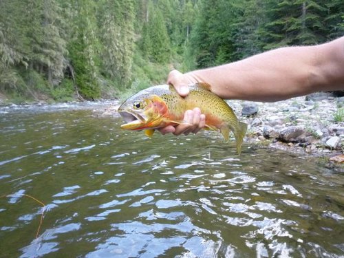 fishing 017.jpg