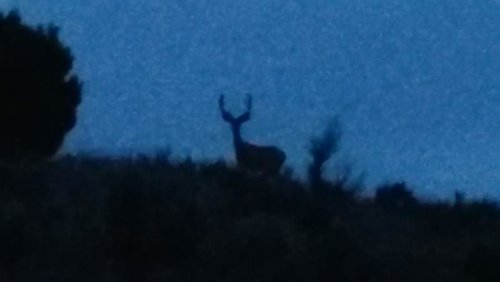 20150624_215134.jpg