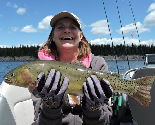 HT Di+Cutt Yellow lake june 2015.jpg HT Di+Cutt Yellow lake june 2015.jpg