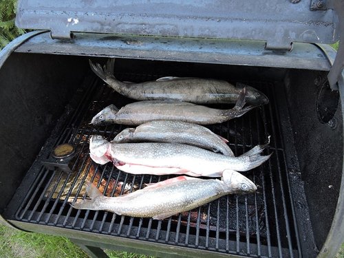 HT lakers in smoker 2015.jpg HT lakers in smoker 2015.jpg