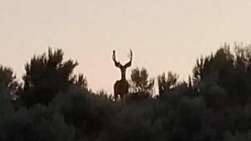20150702_213706.jpg