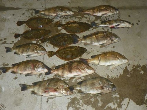 flounder3.jpg