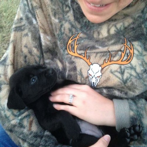 Puppy.jpg