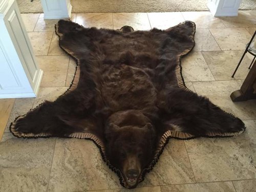 2014 Bear Rug 1.jpg 2014 Bear Rug 1.jpg