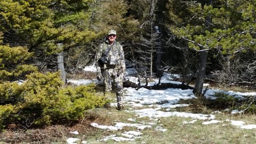 20150427_101936 (800x450).jpg
