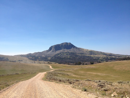 blackbutte.jpg blackbutte.jpg