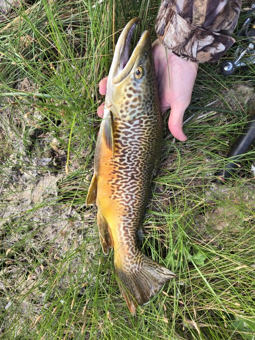 20240913_080747.jpg