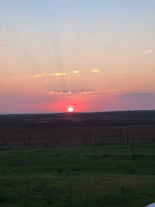 20240907_062158.jpg 20240907_062158.jpg