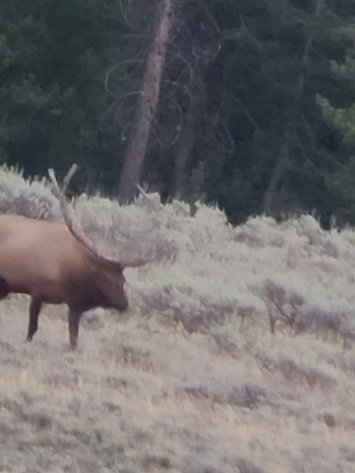20240908_195841.jpg 20240908_195841.jpg