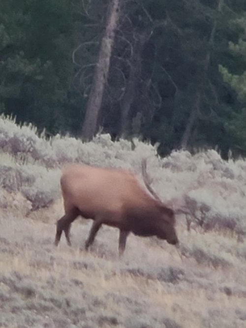 20240908_195843.jpg 20240908_195843.jpg
