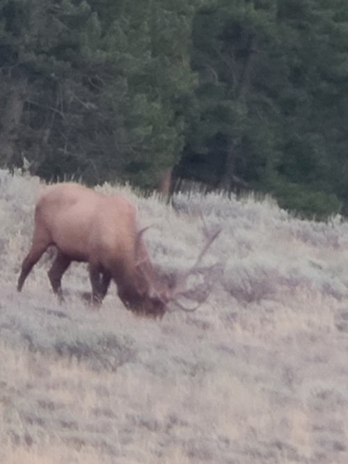 20240908_195716.jpg 20240908_195716.jpg