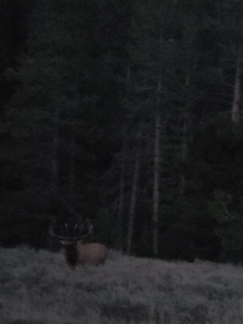 20240909_201512.jpg 20240909_201512.jpg