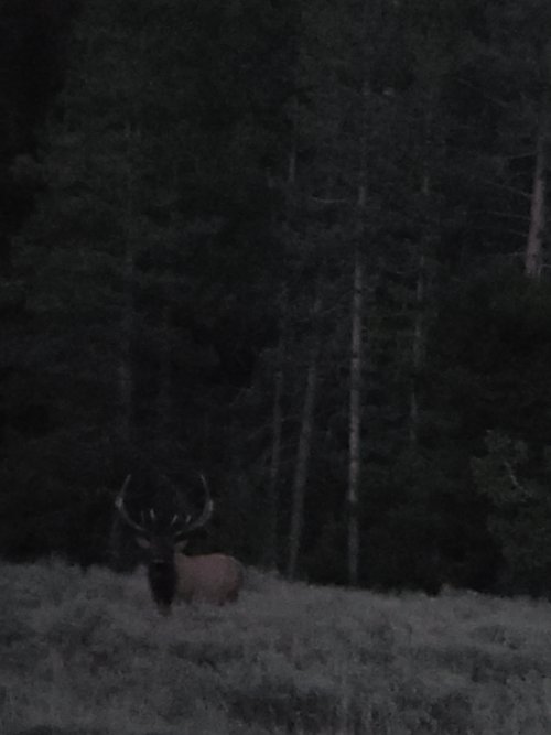 20240909_201516.jpg 20240909_201516.jpg