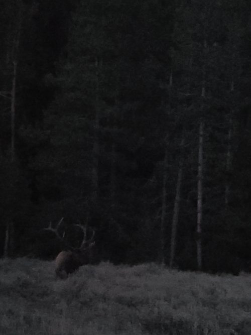 20240909_201553.jpg 20240909_201553.jpg