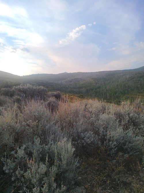 20240911_081204.jpg 20240911_081204.jpg
