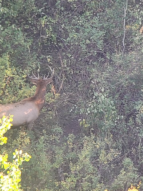 20240914_175442.jpg 20240914_175442.jpg