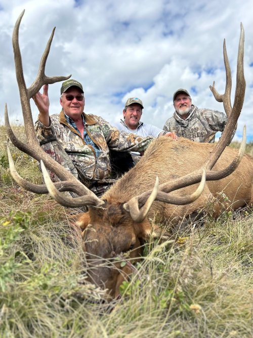 mikes elk.jpg mikes elk.jpg
