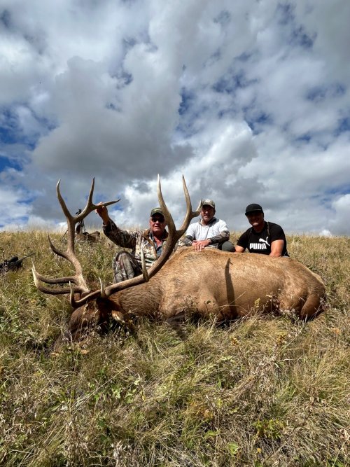mikes elk 4.jpg mikes elk 4.jpg