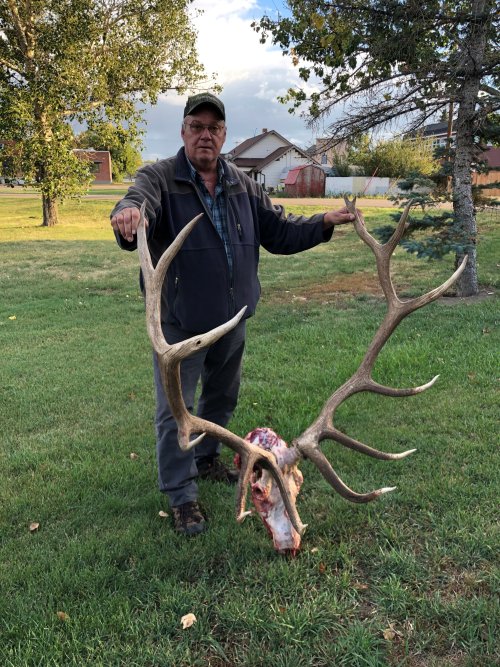 mikes elk 2.jpg mikes elk 2.jpg
