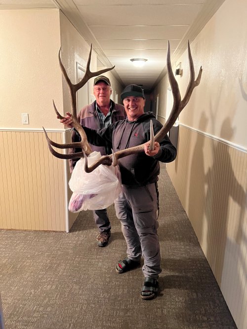 mikes elk 3.jpg mikes elk 3.jpg