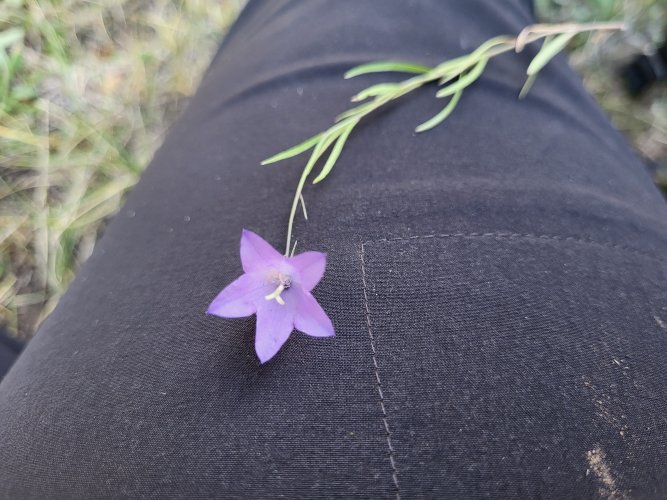 20240905_102311.jpg
