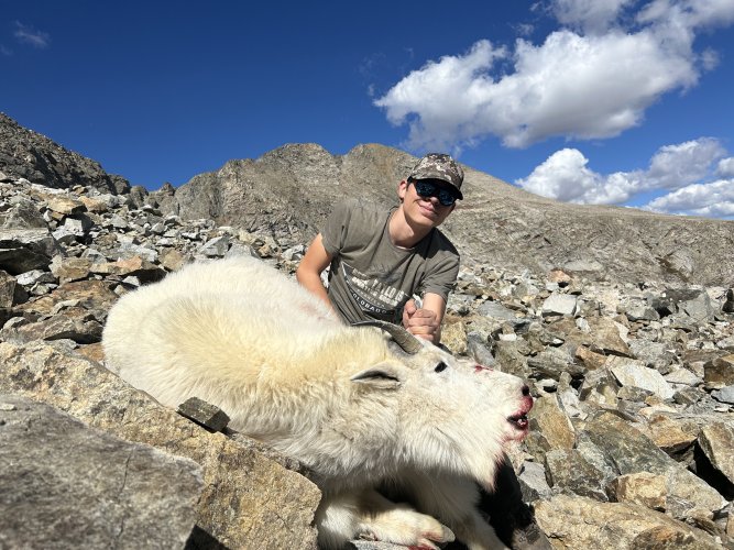 IMG_8634.jpeg IMG_8634.jpeg