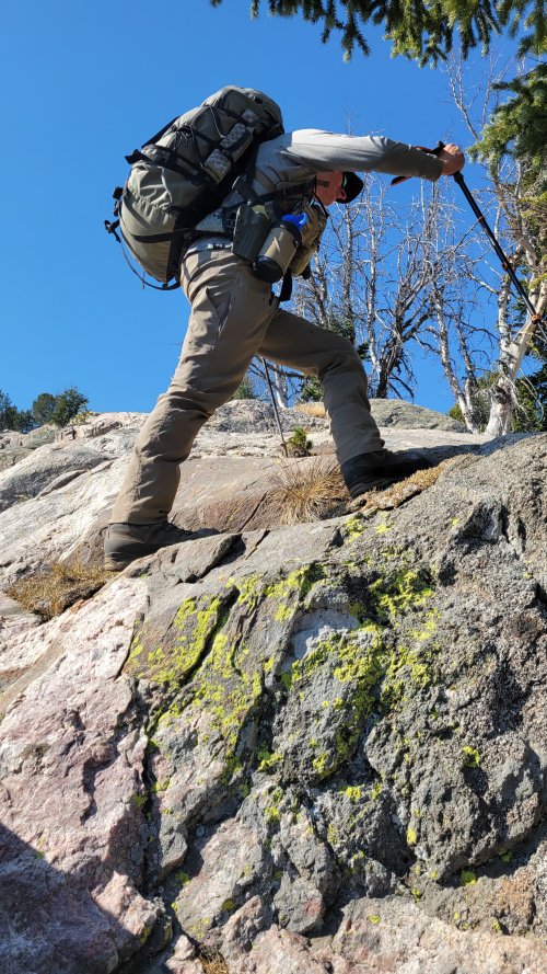 20241005_124555.jpg 20241005_124555.jpg
