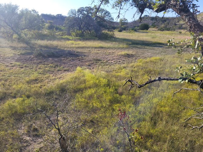 20241010_171950.jpg 20241010_171950.jpg