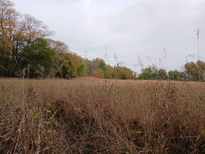 20241012_164749.jpg 20241012_164749.jpg