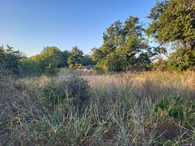 20241017_083410.jpg 20241017_083410.jpg